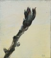Бруньки 12